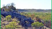 Scenery at dig site